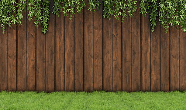 Timber-or-Composite-Which-Fencing-Material-Is-Right-for-Your-Garden fencingandtimber